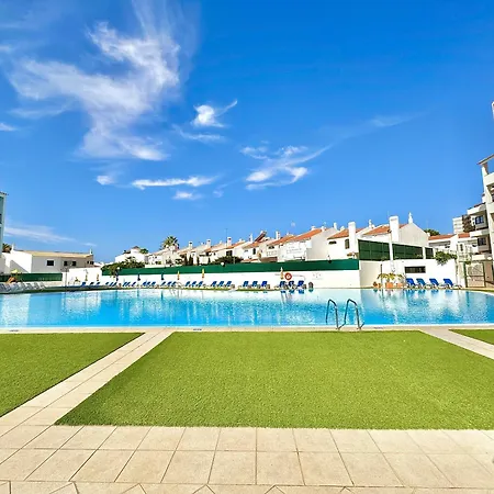 Skylight 1 With Pool By Homing